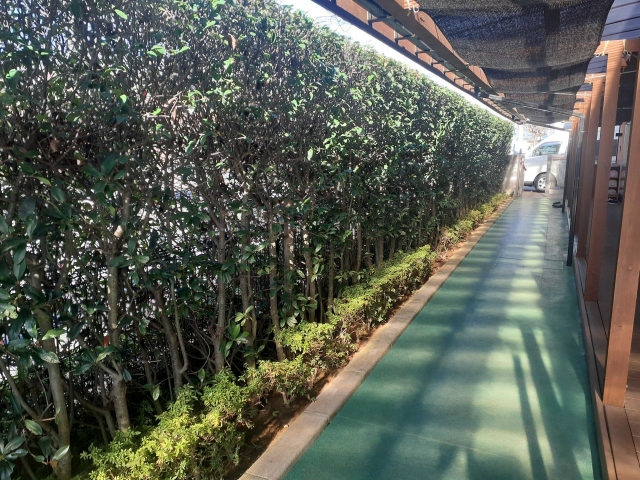 20251130_100630 (002)